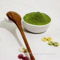 Wholesale bulk wheat grass powder